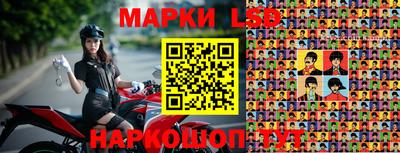 шишки Краснознаменск