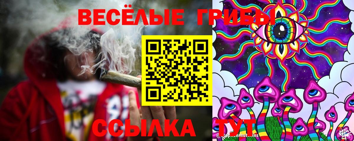 Псилоцибиновые грибы прущие грибы Татарск
