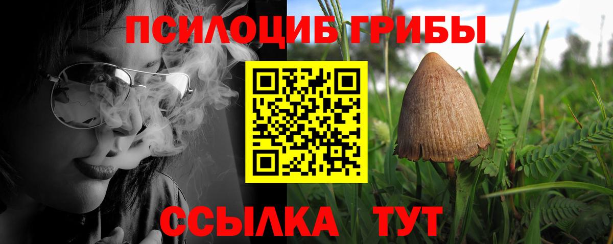 Татарск  Галлюциногенные грибы ЛСД  Вход с VPN 